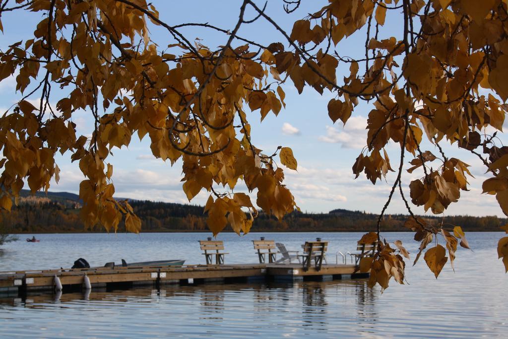 Robert'S Roost Rv Park Resort Quesnel Buitenkant foto