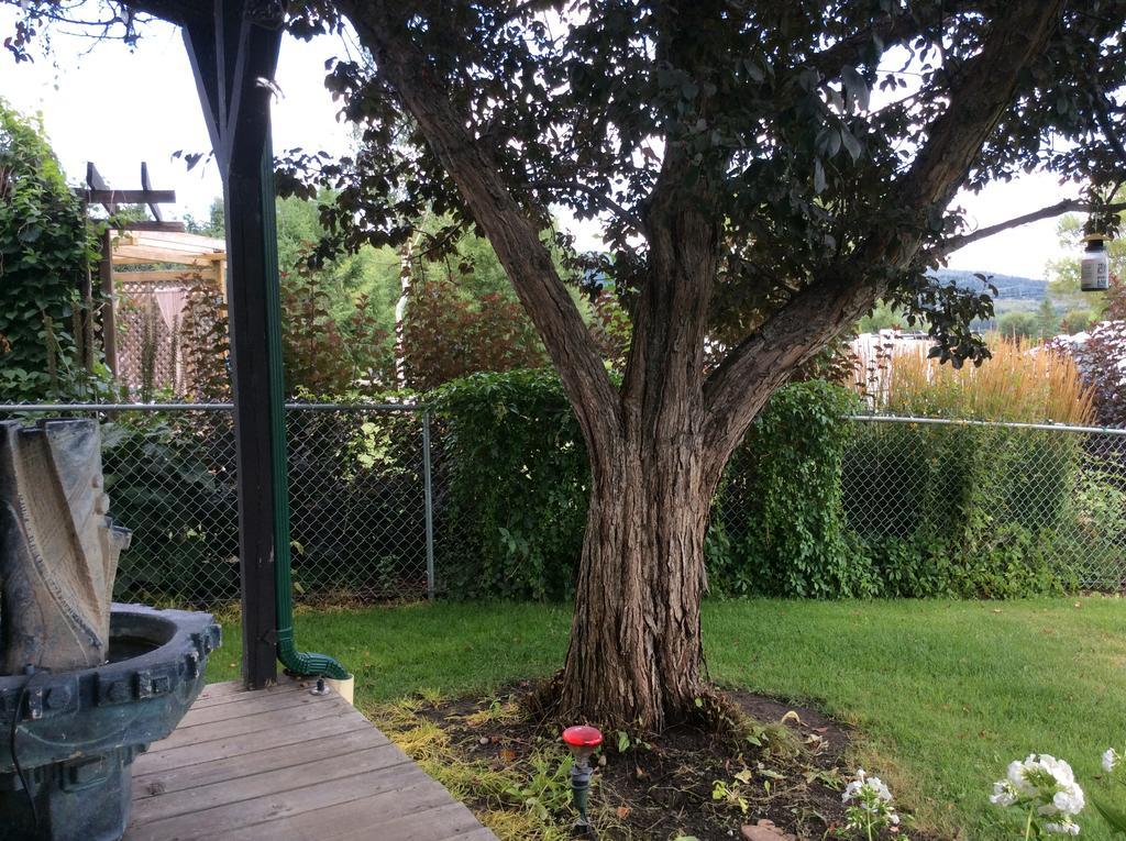 Robert'S Roost Rv Park Resort Quesnel Buitenkant foto